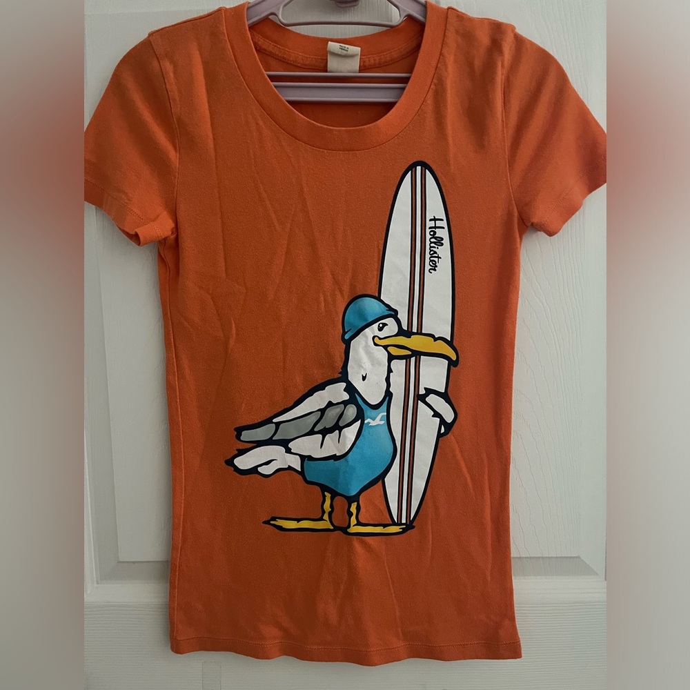 Hollister seagull surfer t-shirt, size S